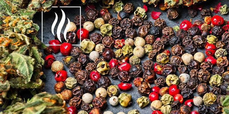 découvrez les bienfaits santé du bêta-caryophyllène, un composé naturel aux propriétés anti-inflammatoires et antioxydantes. améliorez votre bien-être grâce à ses effets bénéfiques.