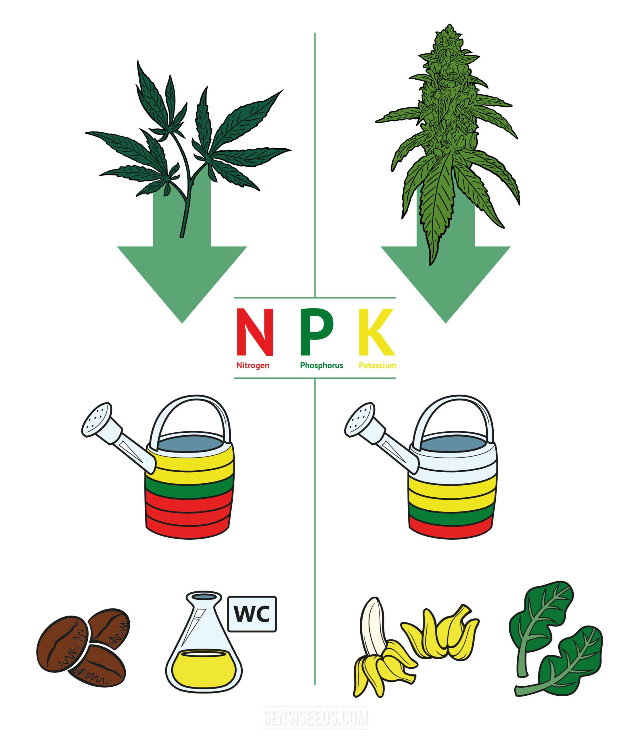 découvrez les meilleurs engrais naturels efficaces pour la culture du cannabis, favorisant une croissance saine et un rendement optimal.
