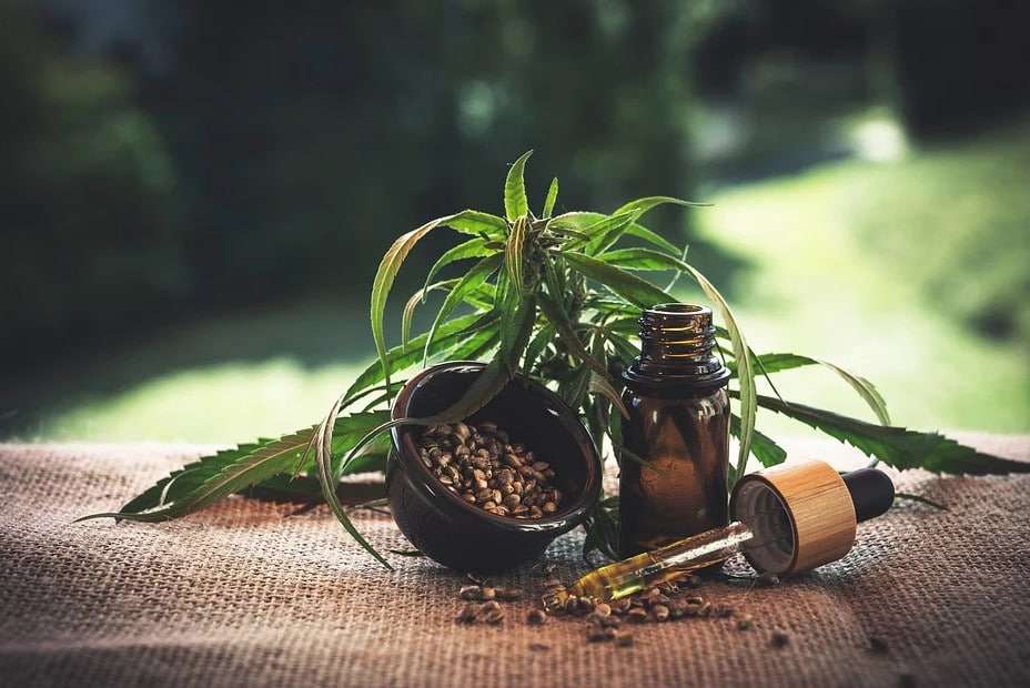 découvrez les bienfaits du cbd en 2026 : amélioration du bien-être, gestion du stress et soutien naturel pour votre santé au quotidien.