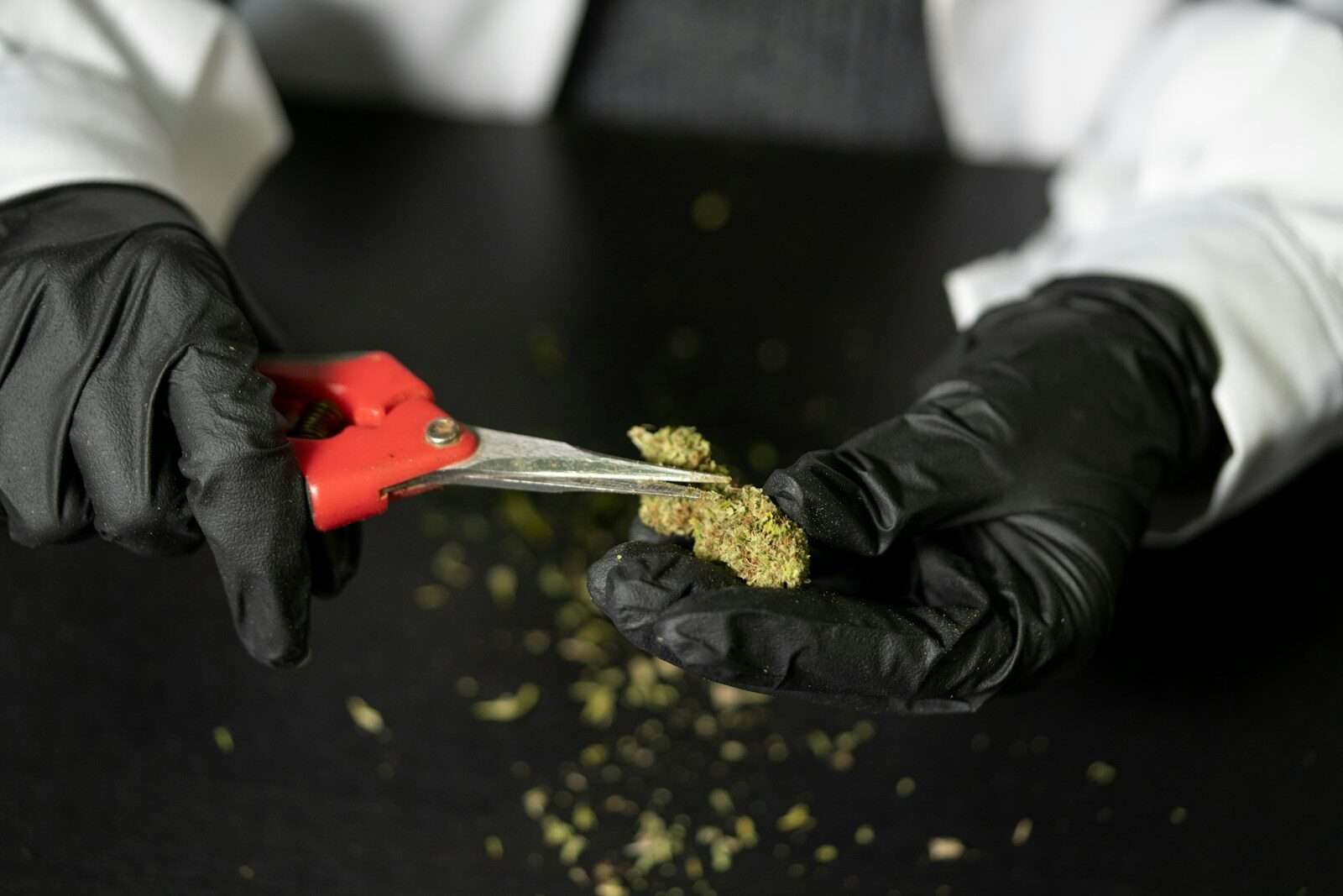 cbd shop